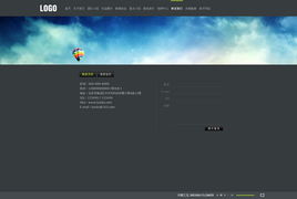 青岛网景 以专业美工模板与网站建设，打造客户信赖的数字桥梁