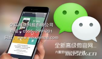马鞍山网络公司 网站设计与微信支付商城开发的全链路服务