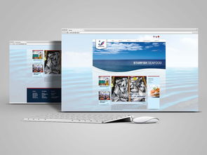 网站设计与开发 从用户需求到技术实现